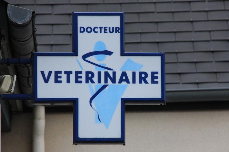 Le site environnement du CAPAE-Ouest