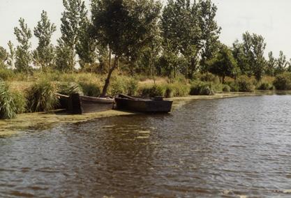 Le site environnement du CAPAE-Ouest