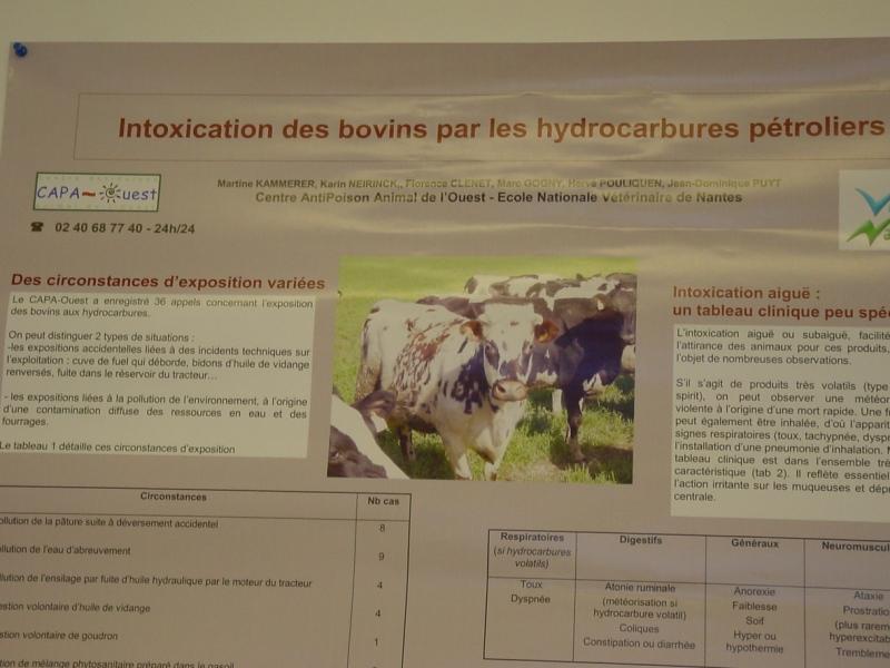 Le site environnement du CAPAE-Ouest