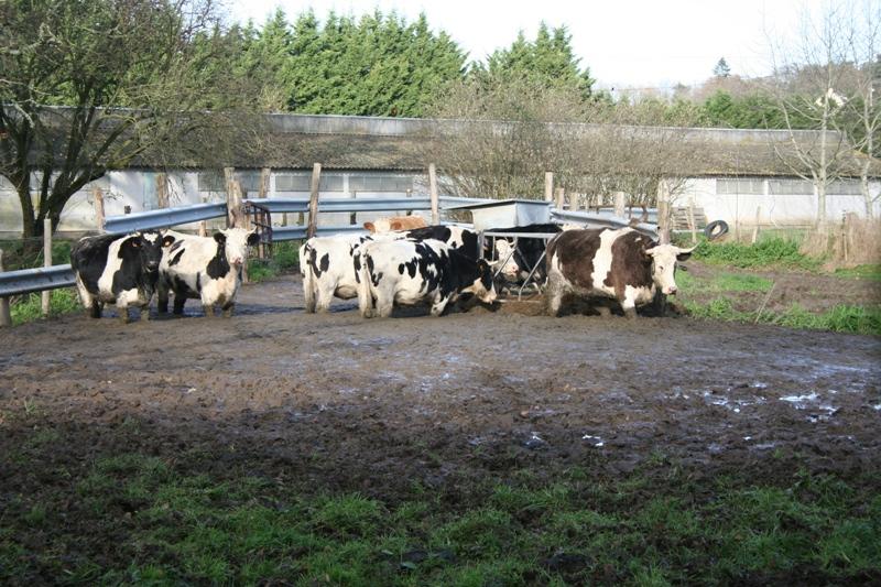 Le site environnement du CAPAE-Ouest